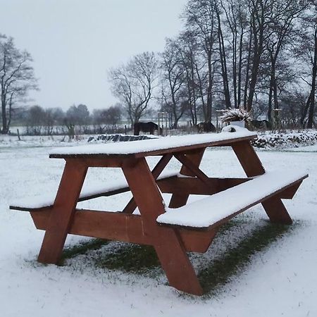Вилла Emsgold Oberlangen Экстерьер фото