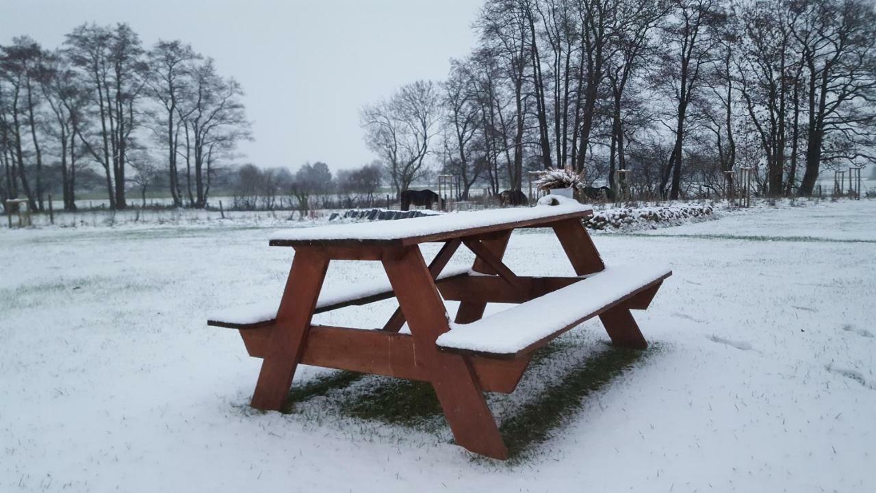 Вилла Emsgold Oberlangen Экстерьер фото
